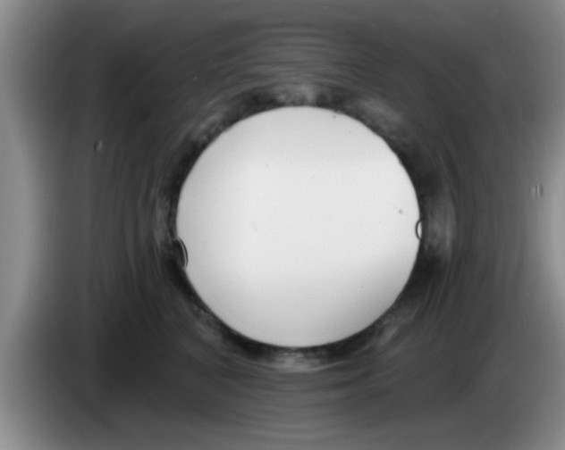 X0000083590616200703091721