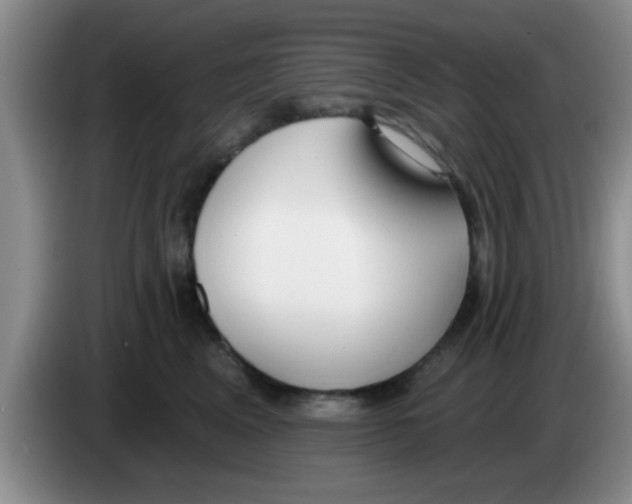 X0000083590617200703091721