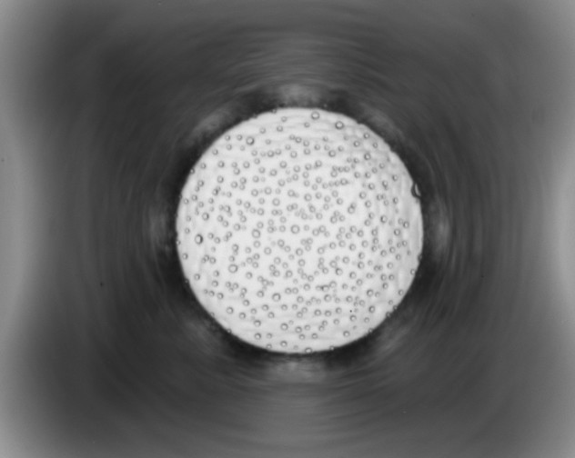 X0000083590619200703091720