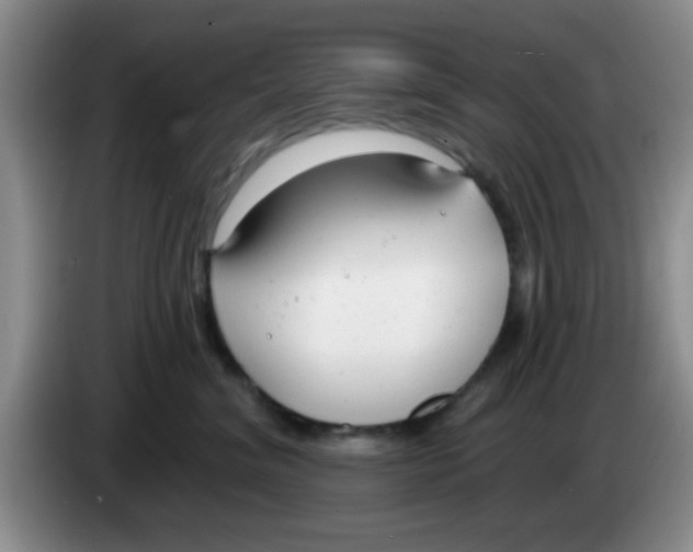 X0000083590620200703091720