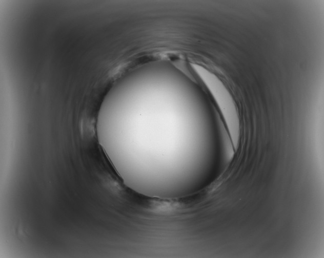 X0000083590621200703091720