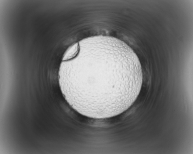 X0000083590622200703091720