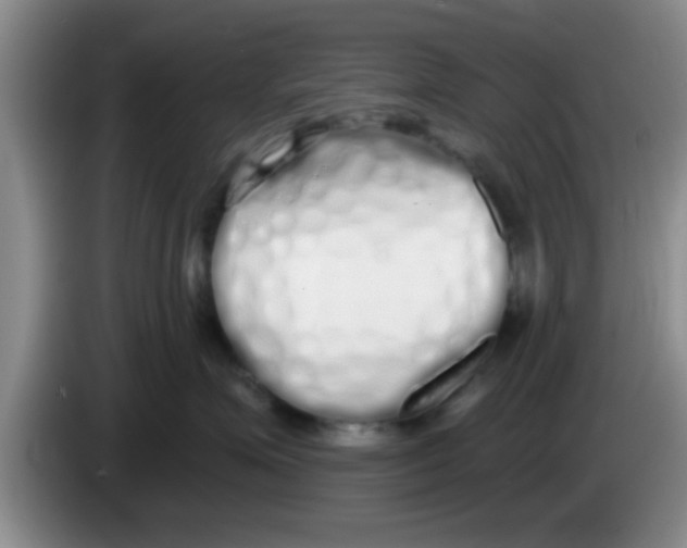 X0000083590623200703091720