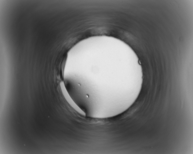 X0000083590624200703091720