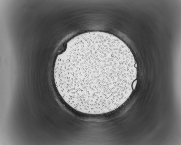 X0000083590625200703091720