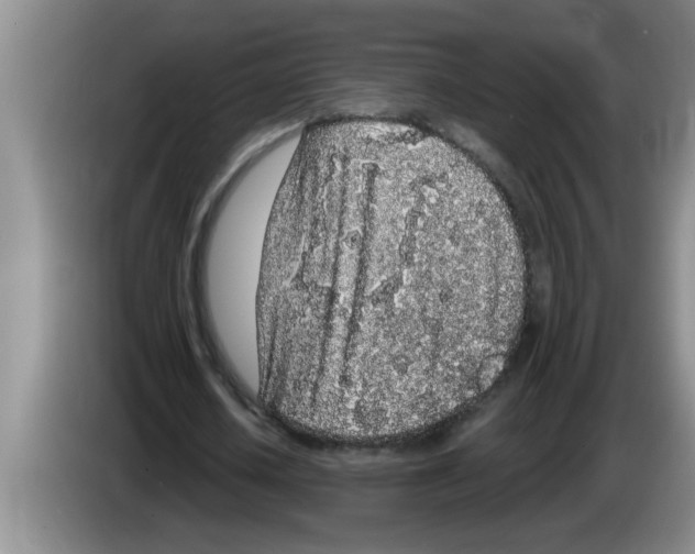 X0000083590626200703091720