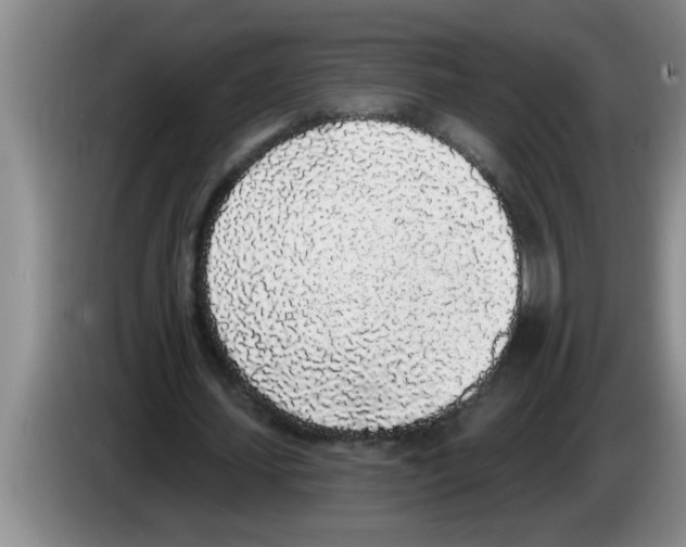 X0000083590627200703091720