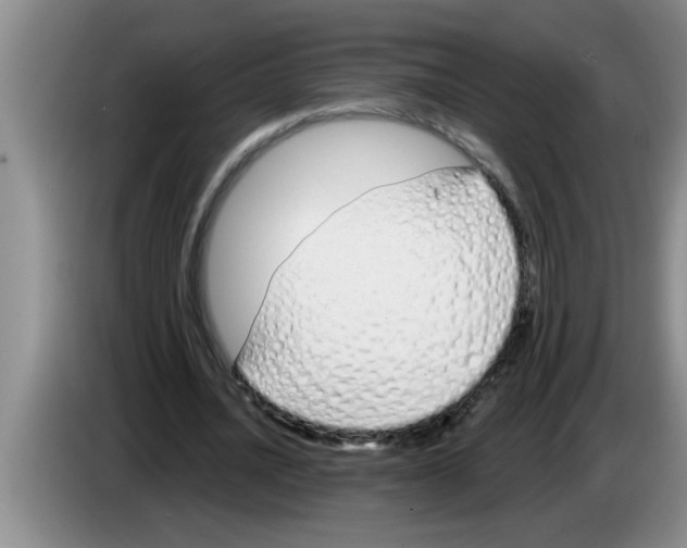 X0000083590628200703091720