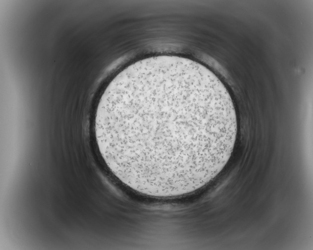 X0000083590629200703091720
