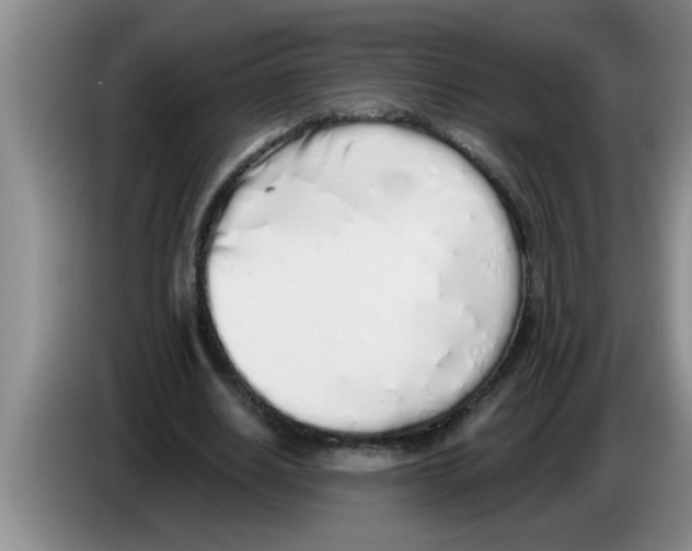 X0000083590630200703091720