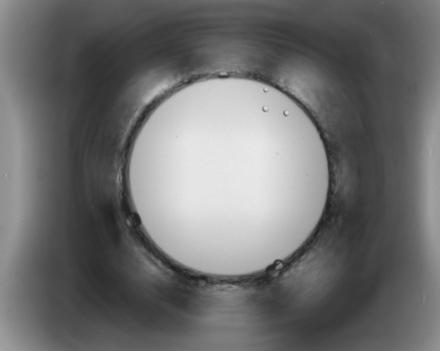 X0000083590632200703091720