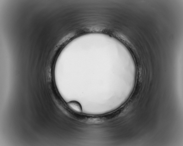 X0000083590634200703091720