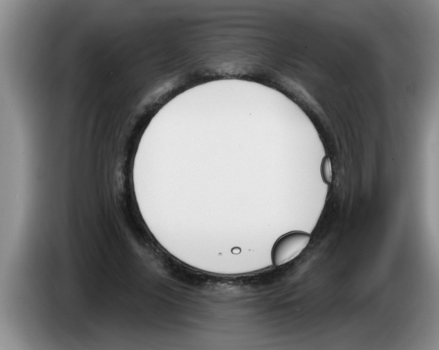 X0000083590635200703091720