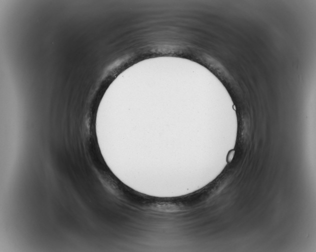 X0000083590636200703091720