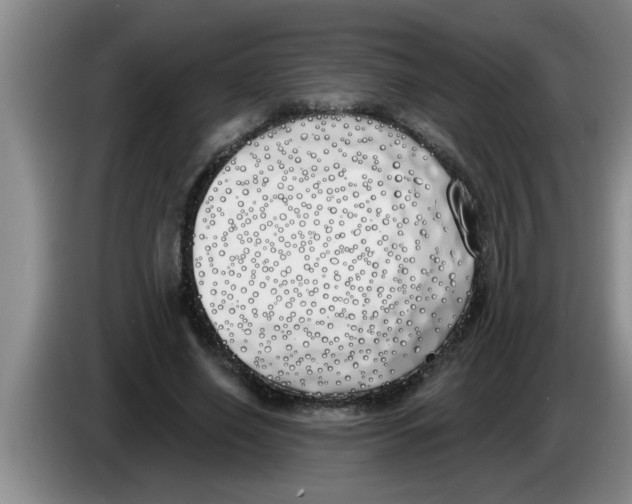 X0000083590638200703091720