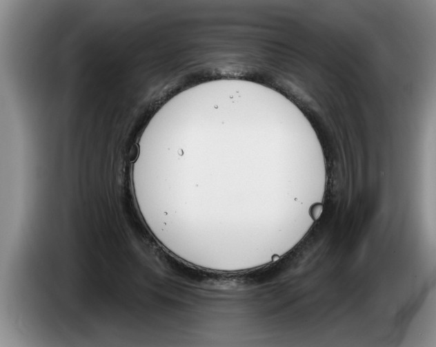 X0000083590639200703091720