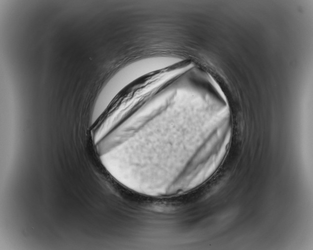 X0000083590641200703091720
