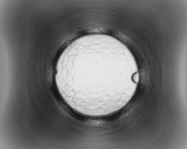 X0000083590642200703091720