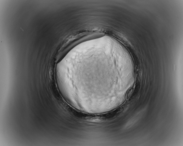 X0000083590643200703091720