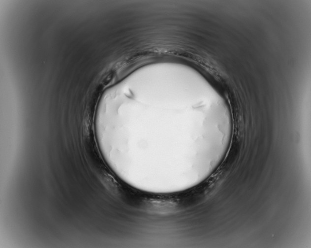 X0000083590644200703091720