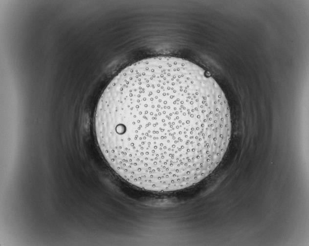 X0000083590646200703091720