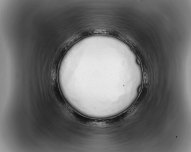 X0000083590648200703091720