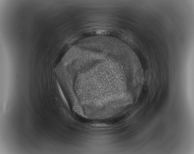 X0000083590650200703091720