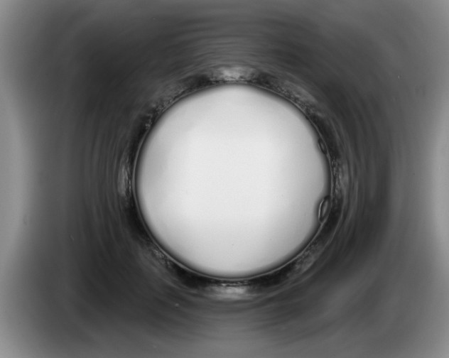 X0000083590651200703091720
