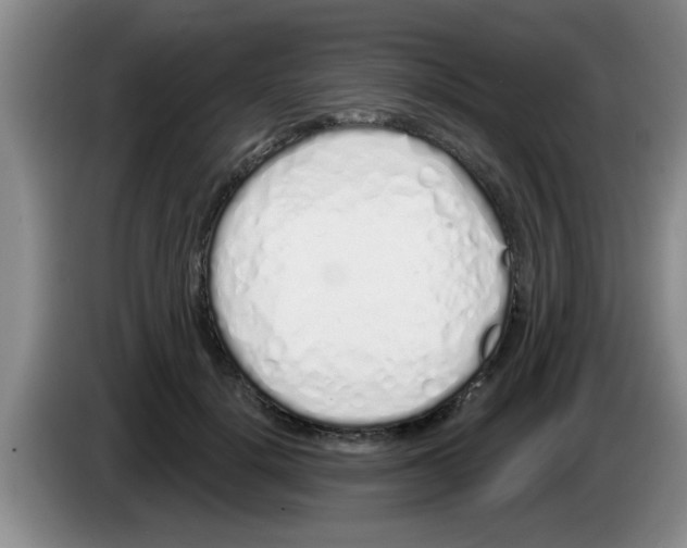 X0000083590652200703091720