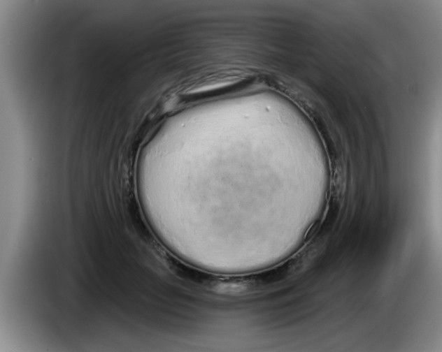 X0000083590653200703091720