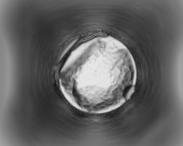 X0000083590654200703091720