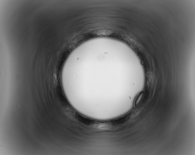 X0000083590655200703091720
