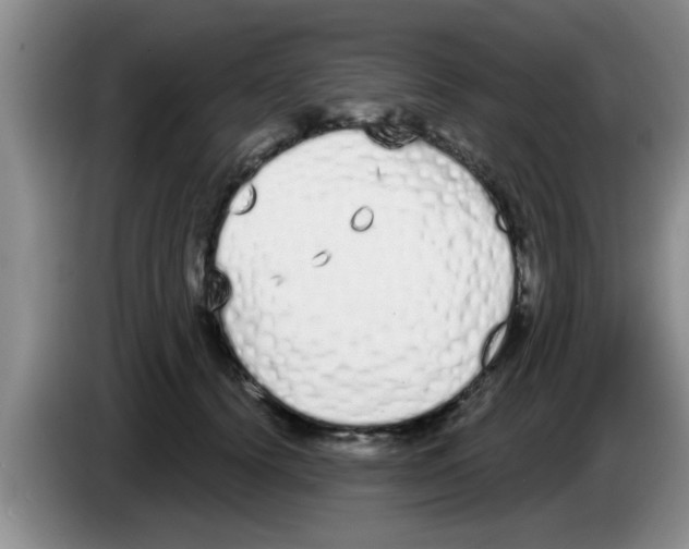 X0000083590656200703091720