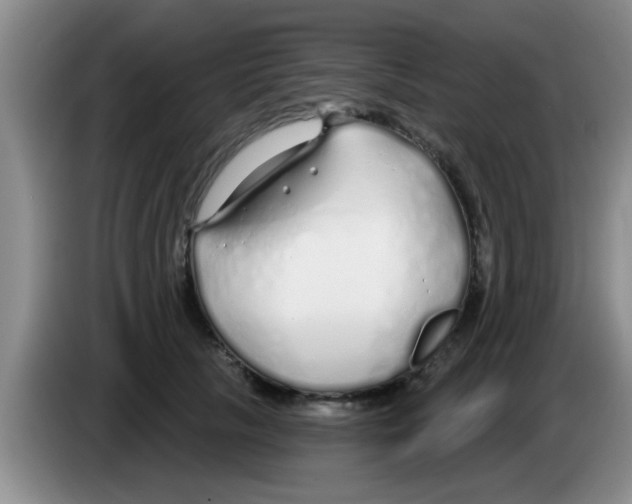 X0000083590657200703091720