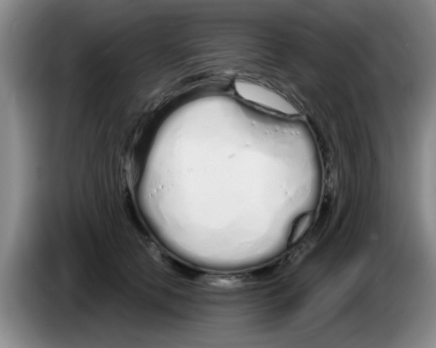 X0000083590658200703091720