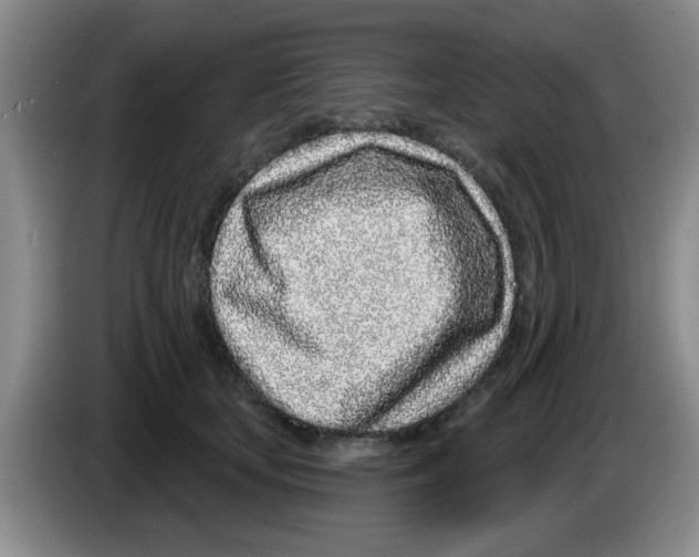 X0000083590659200703091720