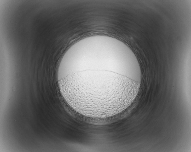 X0000083590660200703091720