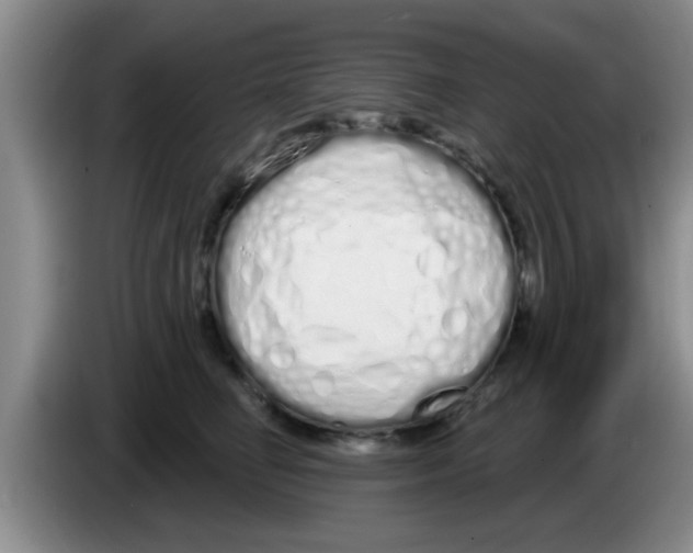 X0000083590662200703091720