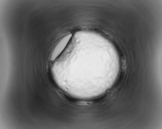 X0000083590664200703091720