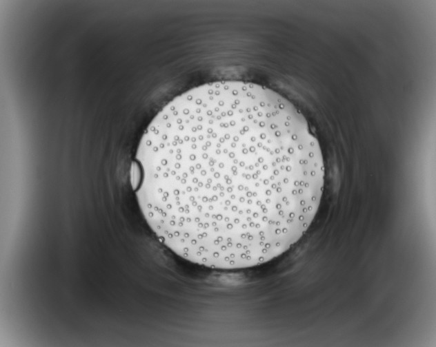 X0000083590665200703091720