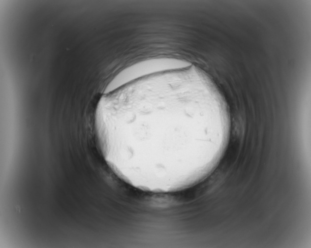 X0000083590666200703091720