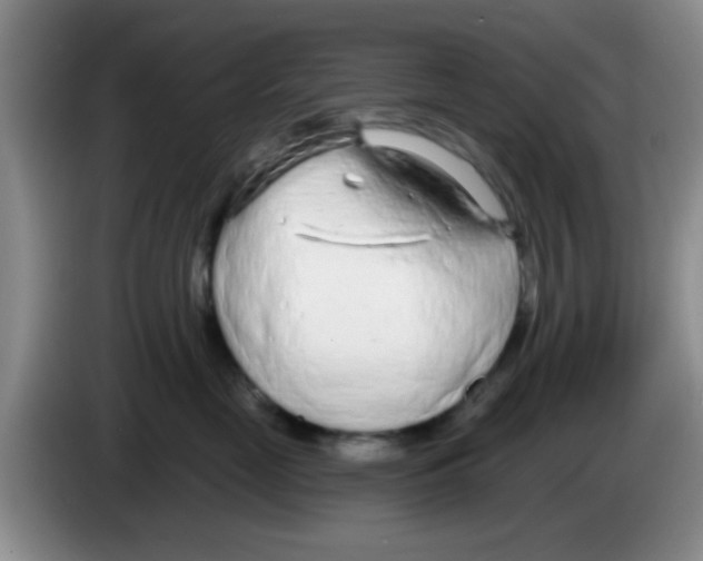 X0000083590669200703091720
