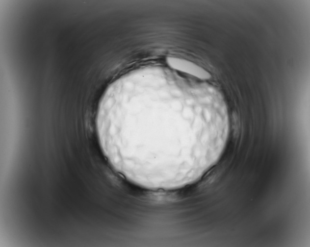 X0000083590670200703091720
