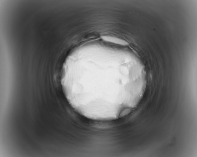 X0000083590671200703091720