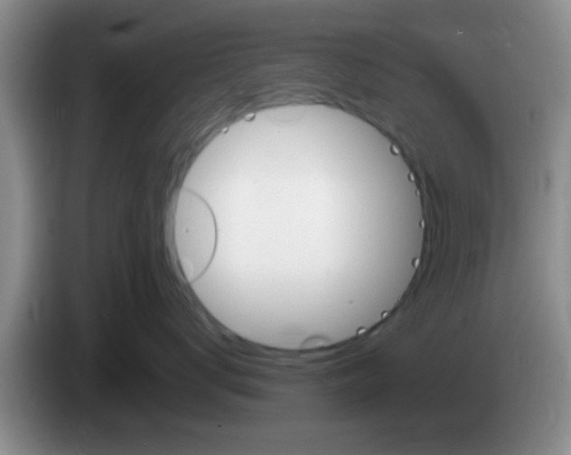 X0000083590672200703091720