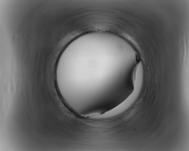 X0000083590673200703091720