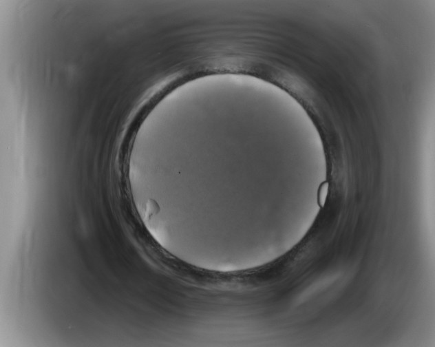 X0000083590674200703091720