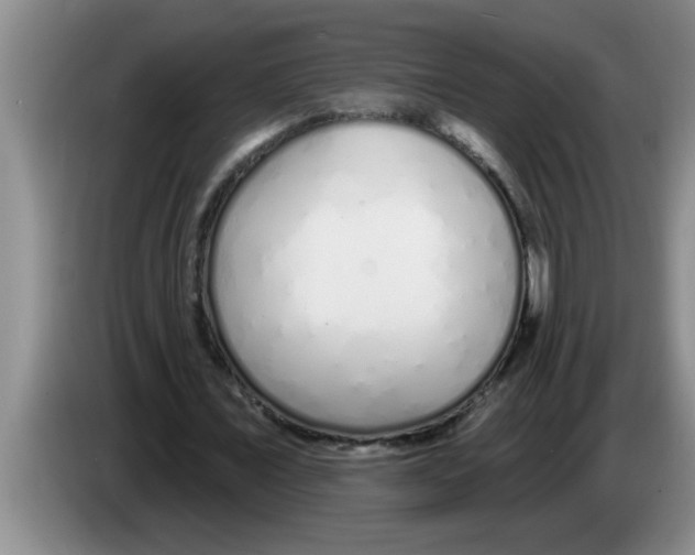 X0000083590675200703091720