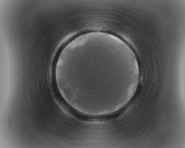 X0000083590678200703091720