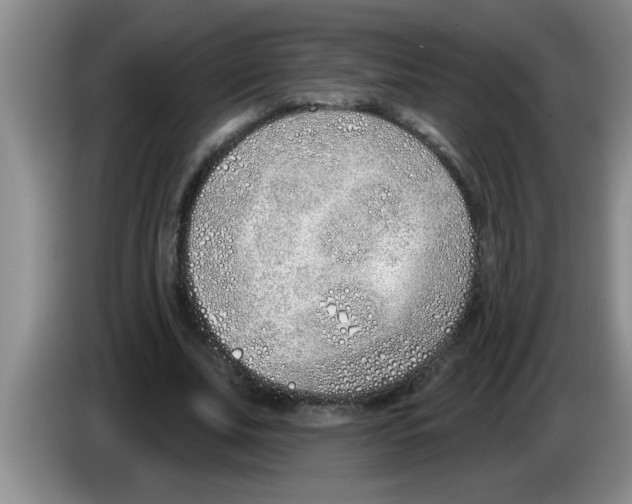 X0000083590679200703091720